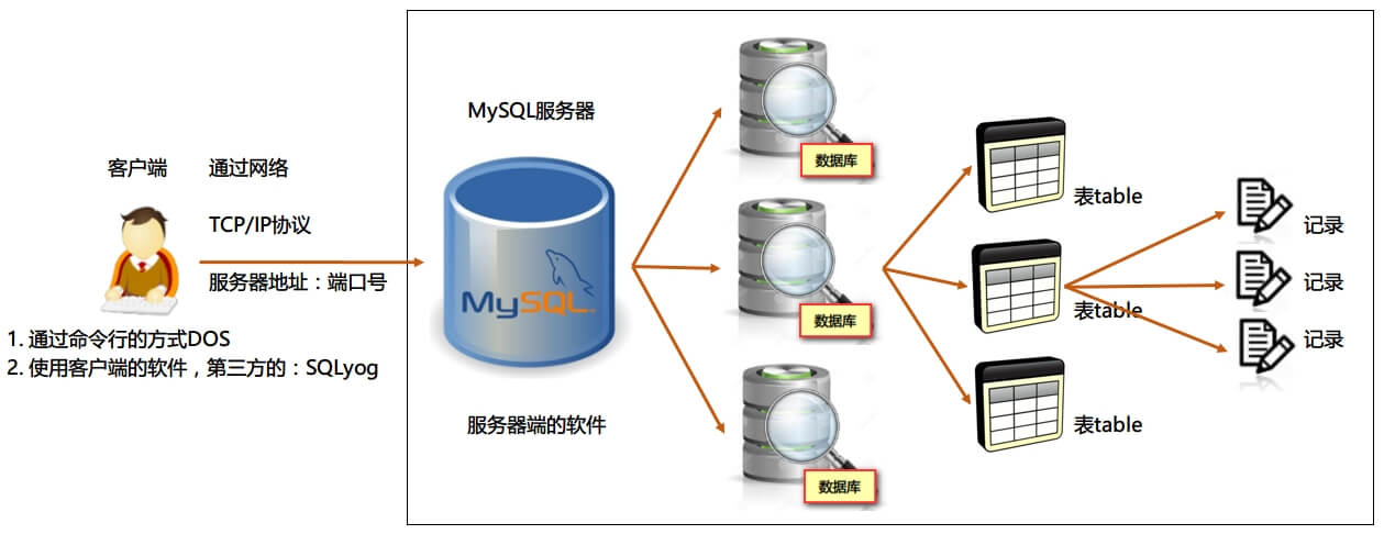 MySQL1 (1).jpg